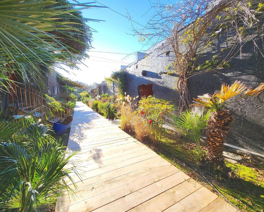 - Premium Jardin, Piscine Et Garage Apartment Bandol